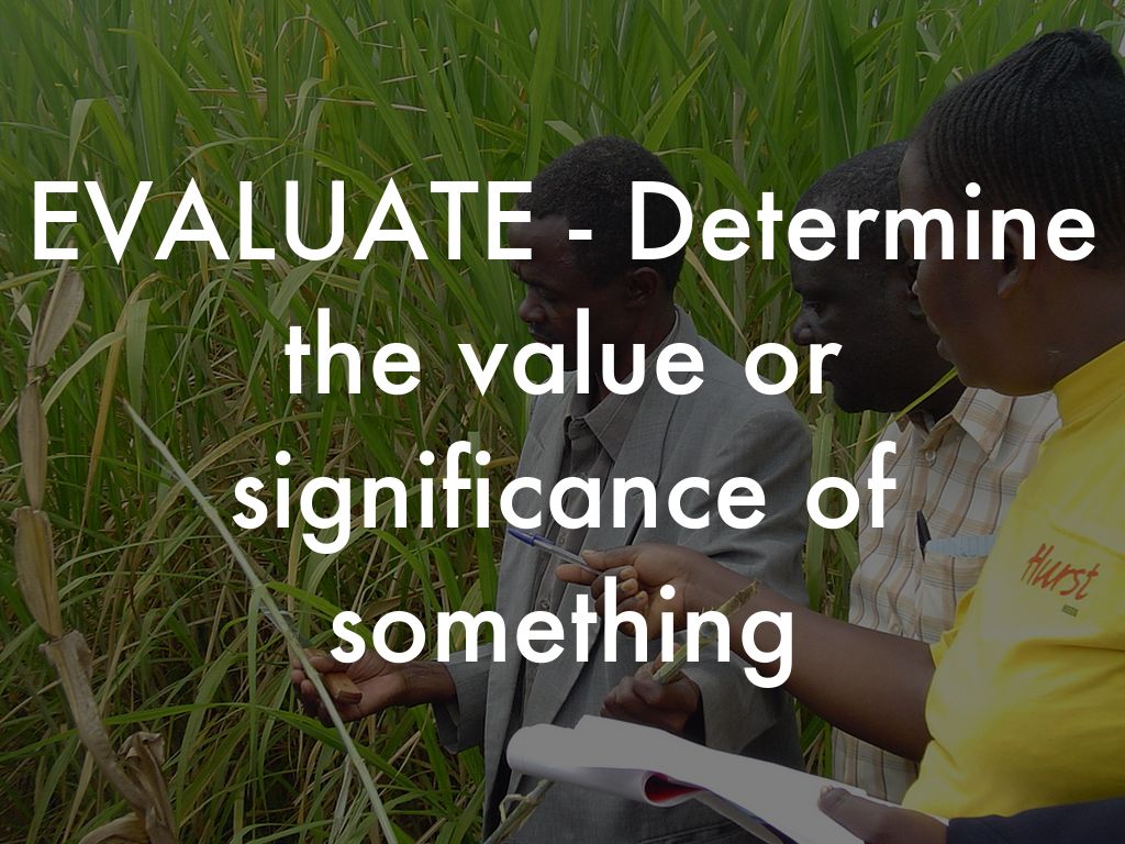 Flocabulary Test Taking Vocabulary by Alisa Leinart