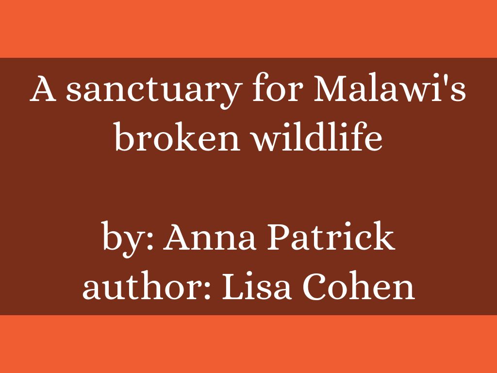 <u>A sanctuary for Malawi's broken wildlife</u> </div> by: Anna Patrick author: <u>Lisa Cohen</u>
