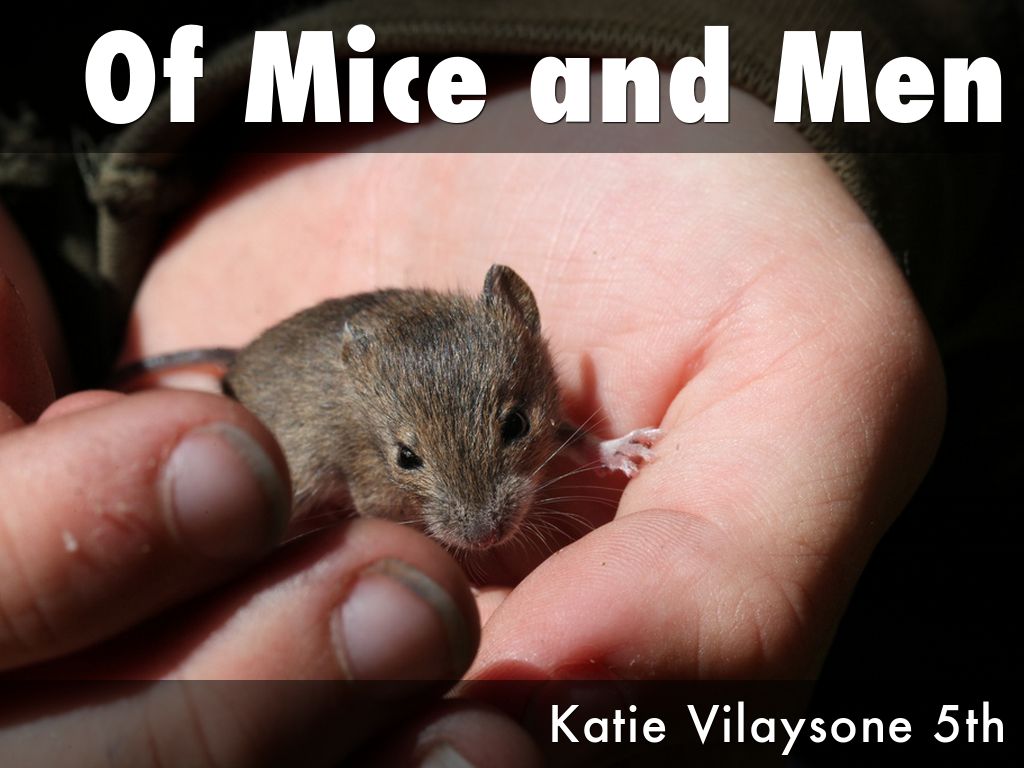 Of Mice and Men