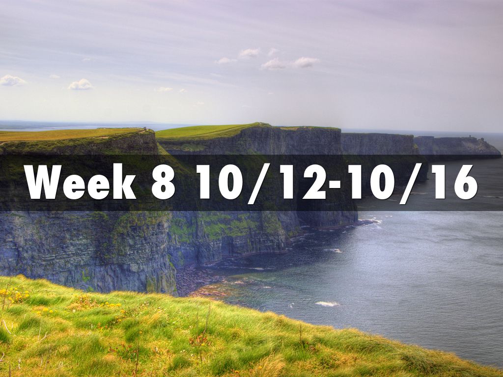 Week 8 10/12-10/16