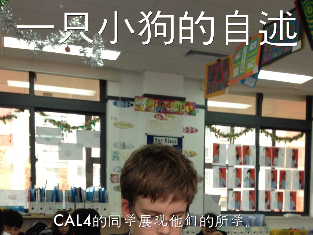 Copy of Untitled Haiku Deck