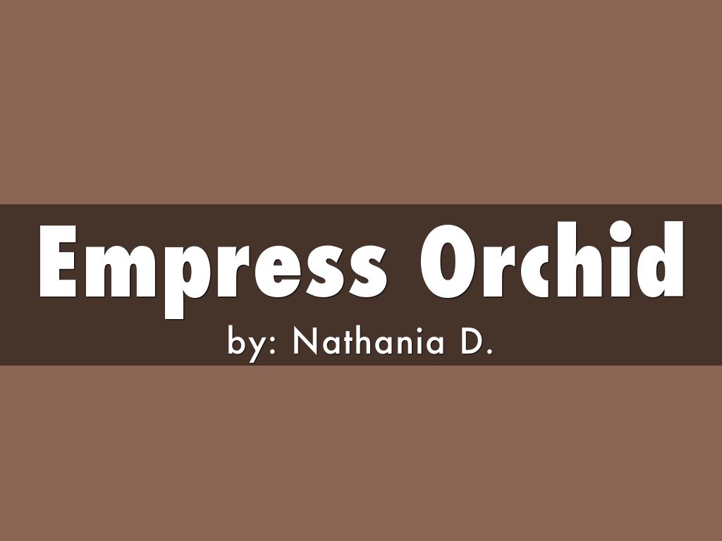 Empress Orchid