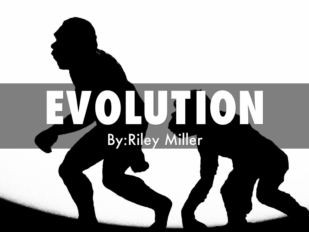 Evolution