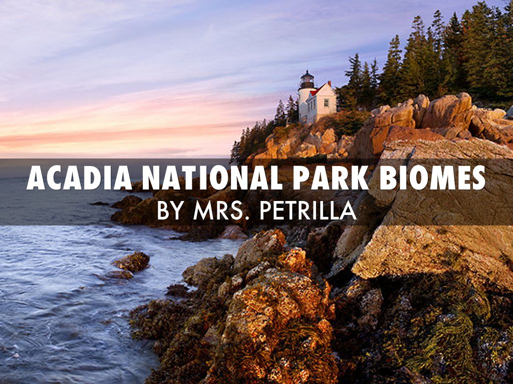 Biomes at Acadia National Park