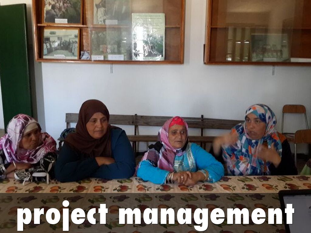 project management
