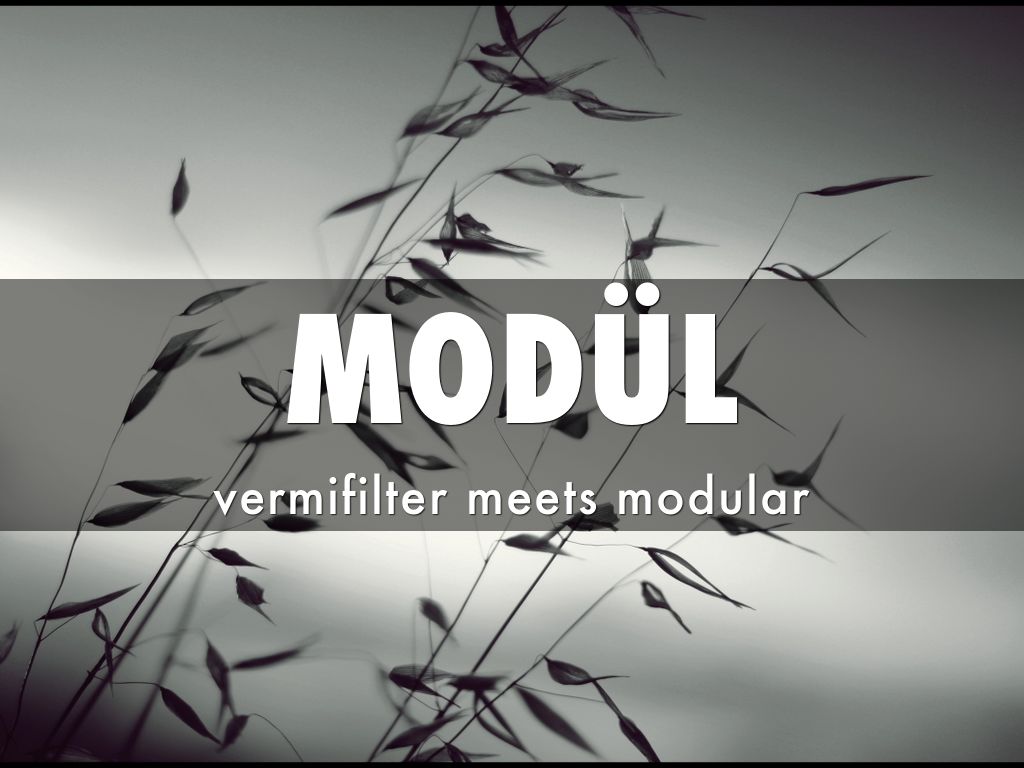 MODÜL