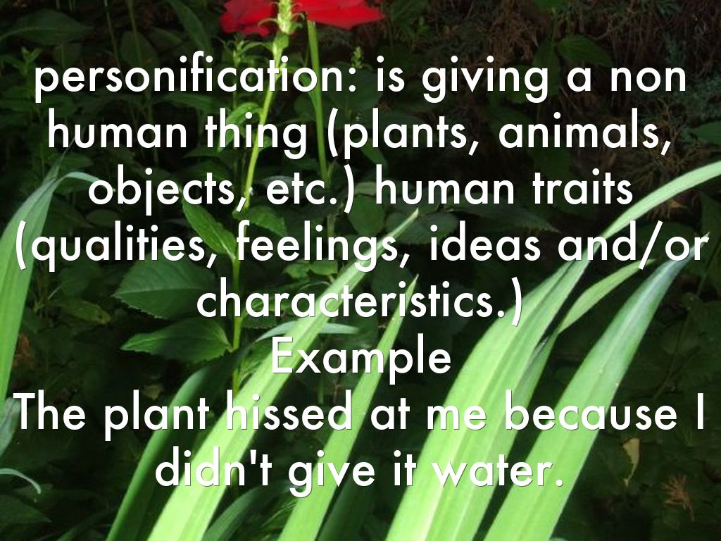 definitions of personification onomatopoeia simile hyperbole metaphor alliteration idiom