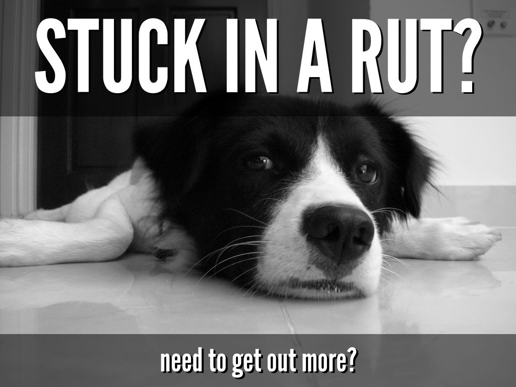 Stuck in a rut?