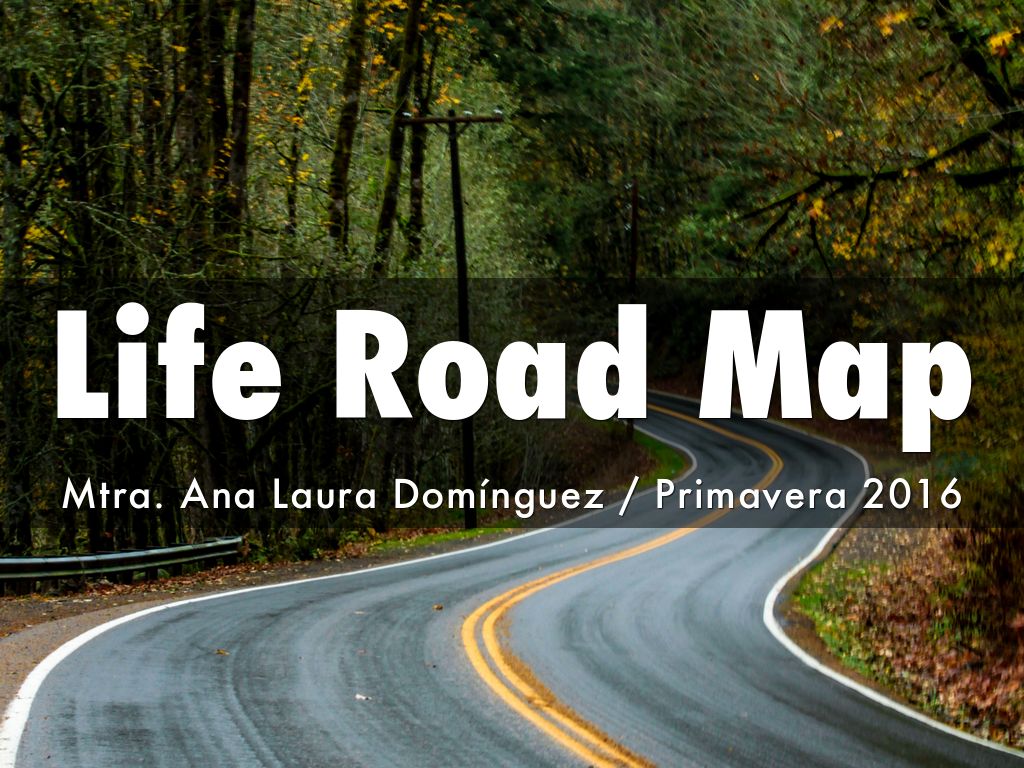 Life Road Map