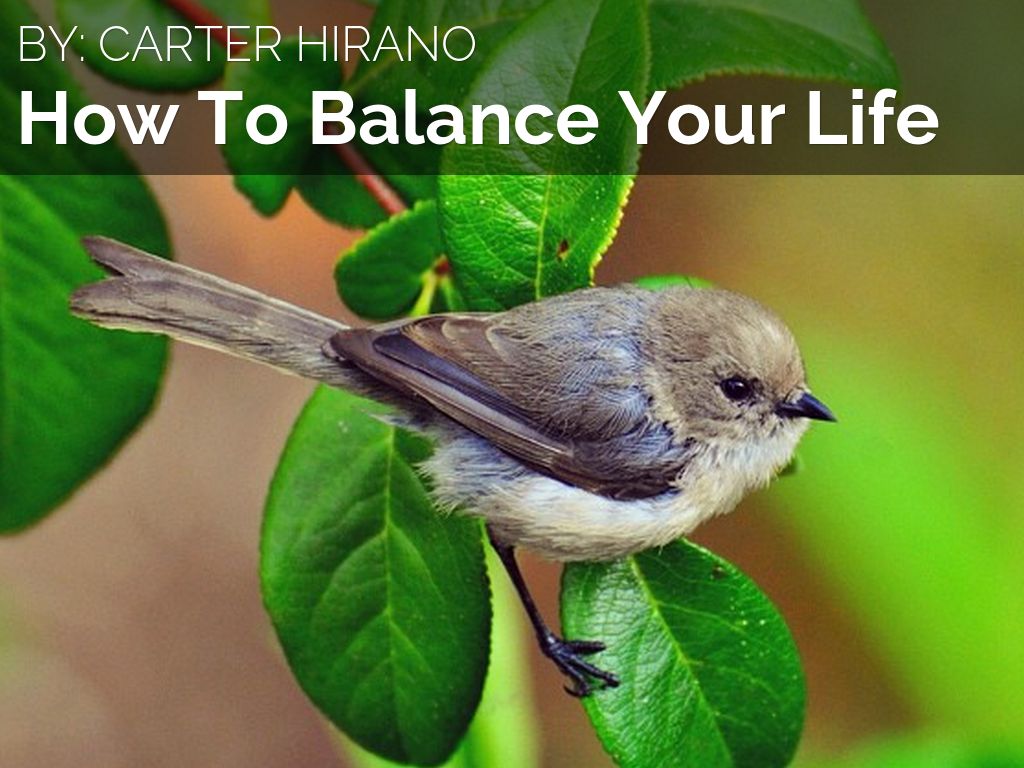 How To Balance Your Life