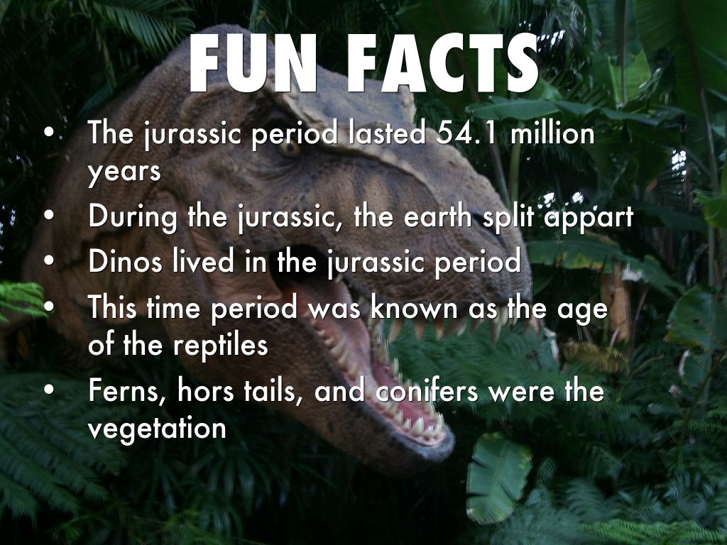  The Jurassic Time Period The Jurassic Period 2019 02 06