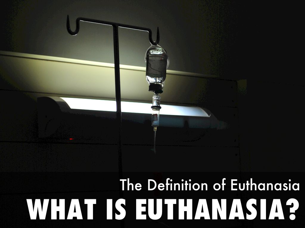 Euthanasia by hm.colonist