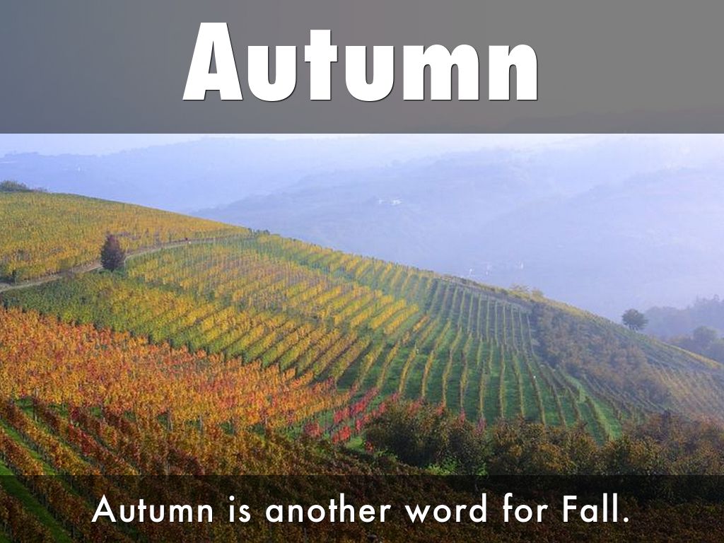 Fall By Kristen Robertson