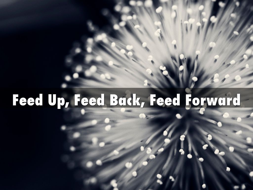 Feed Up, Feed Back, Feed Forward