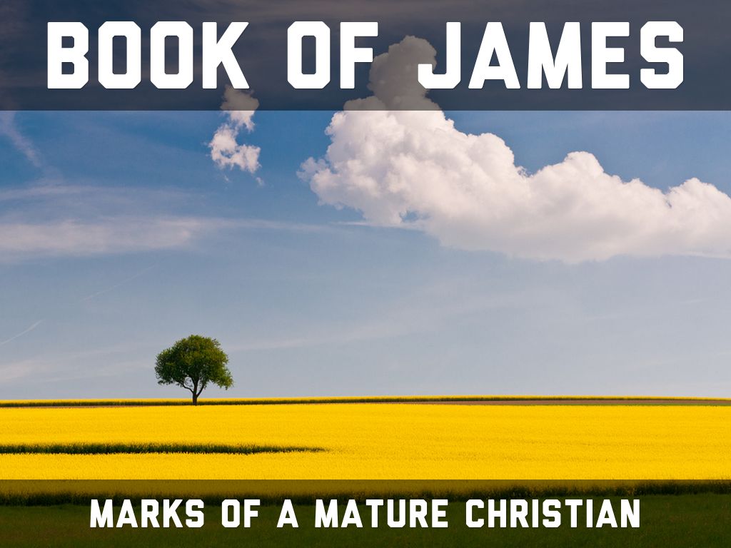 Book of James (9) by Steve Minor