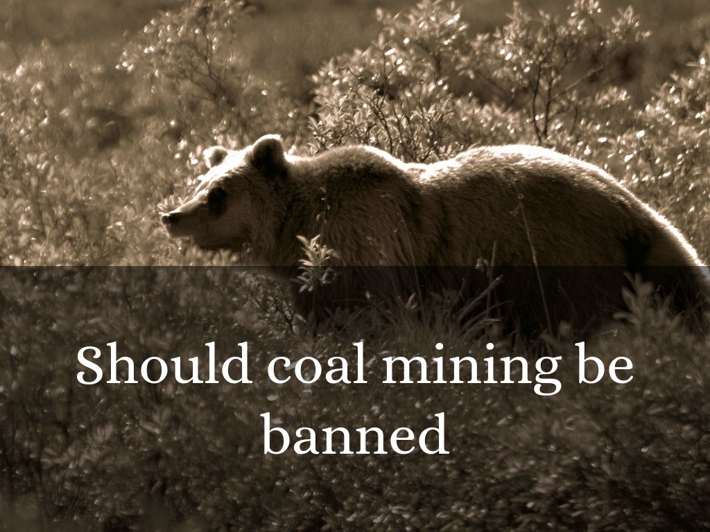 Should coal mining be banned by 11_christopherg