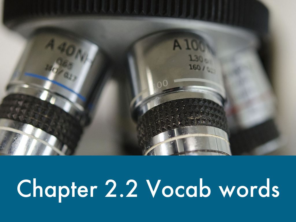 Chapter 2.2 Vocabulary