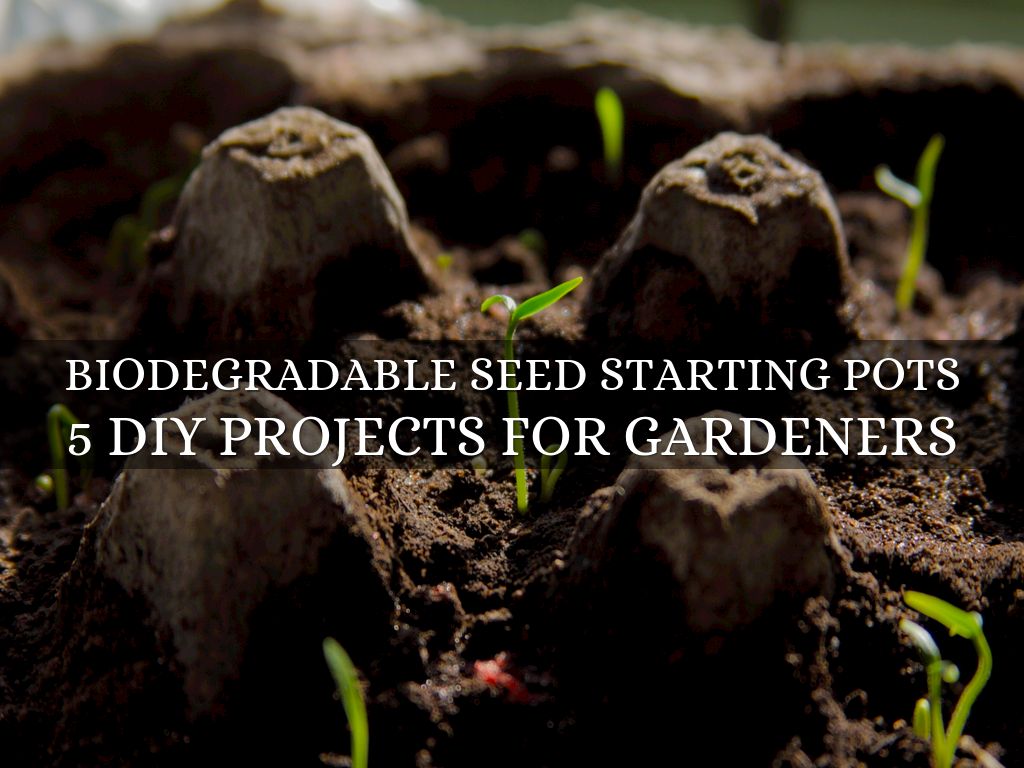 Biodegradable Seed Starting Pots