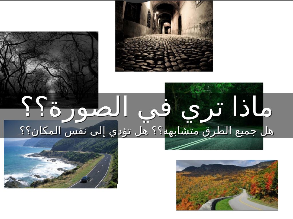 مجالات الادارة