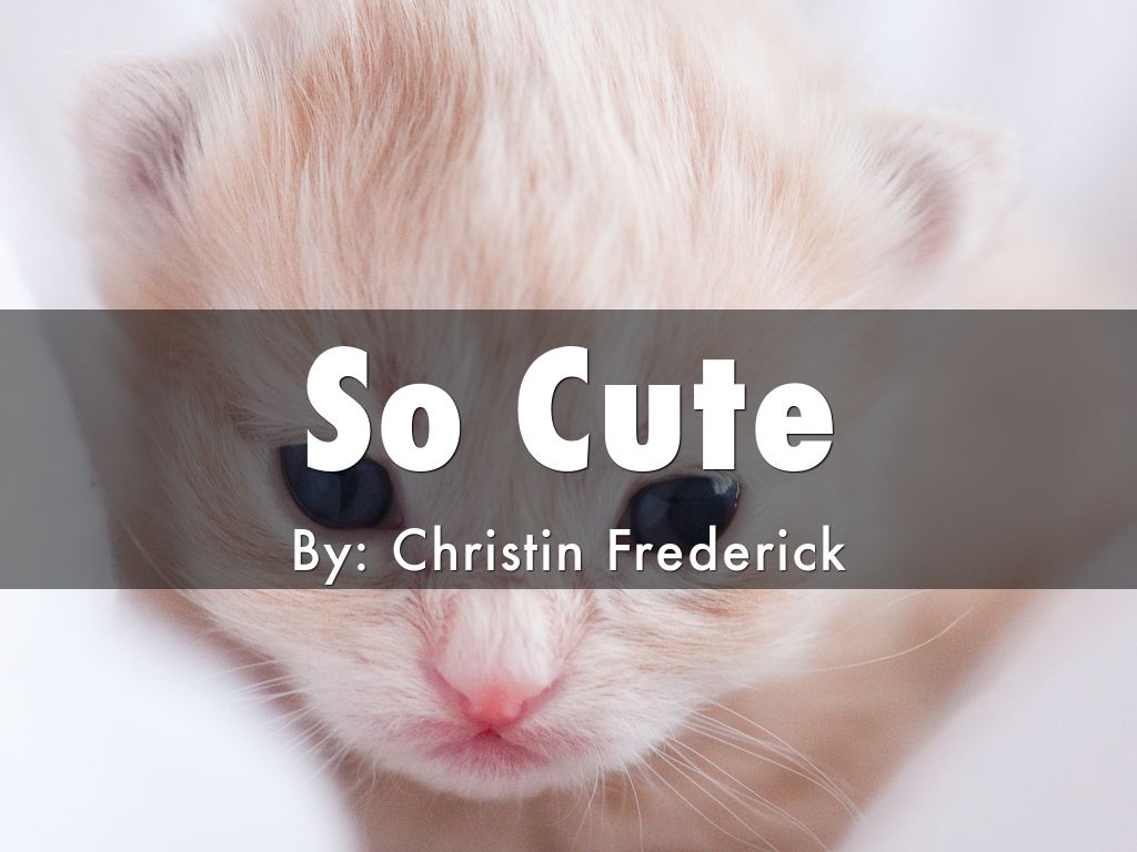 So Cute