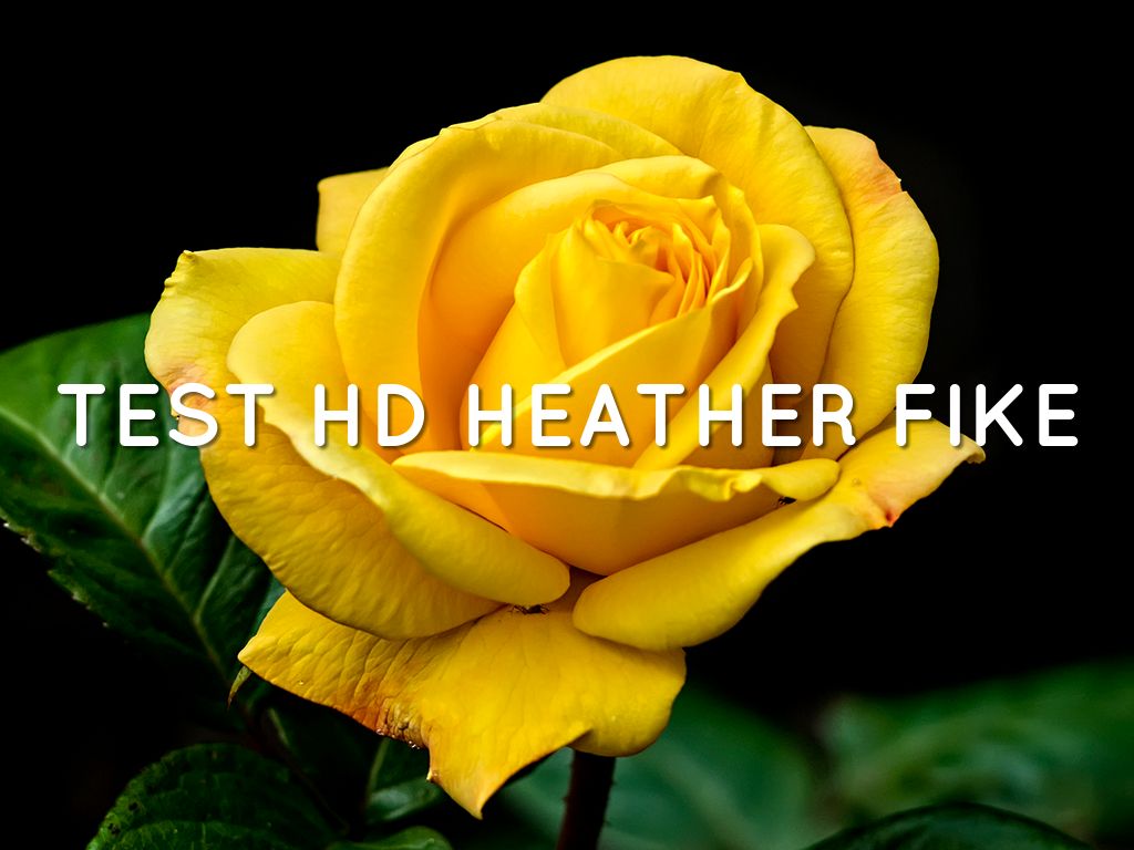 TEST HD HEATHER FIKE