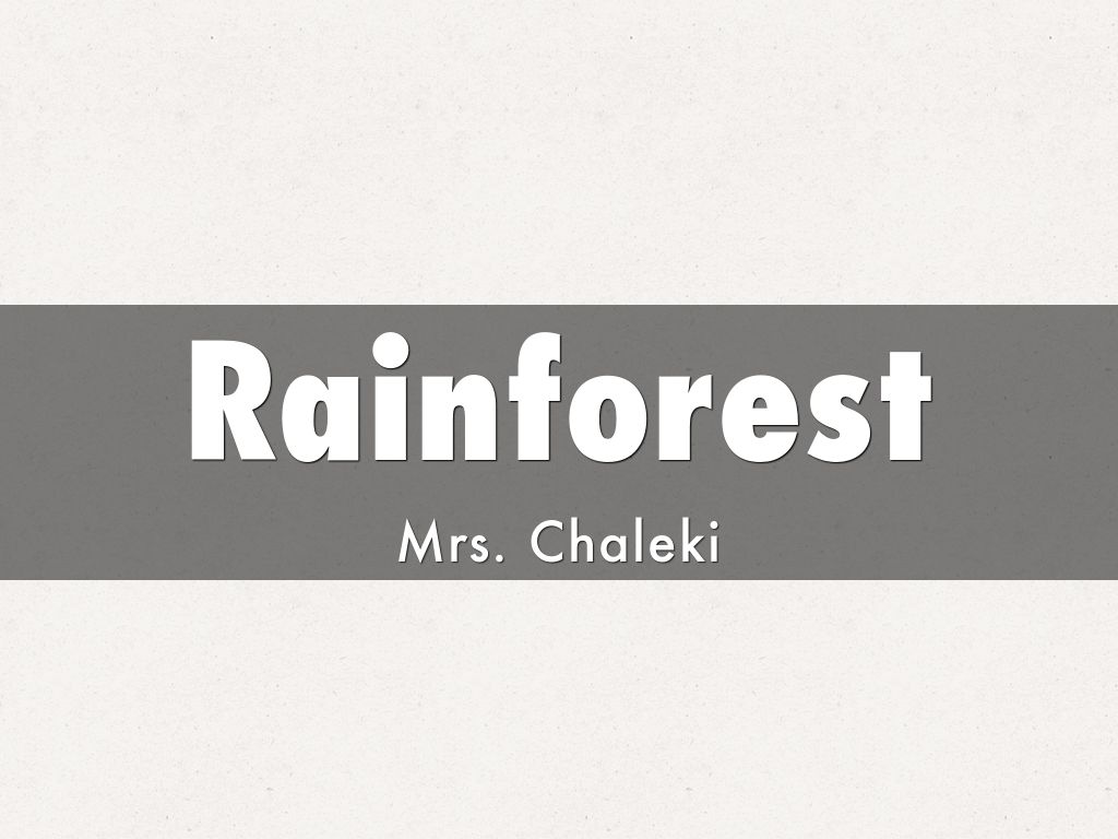 Rainforest