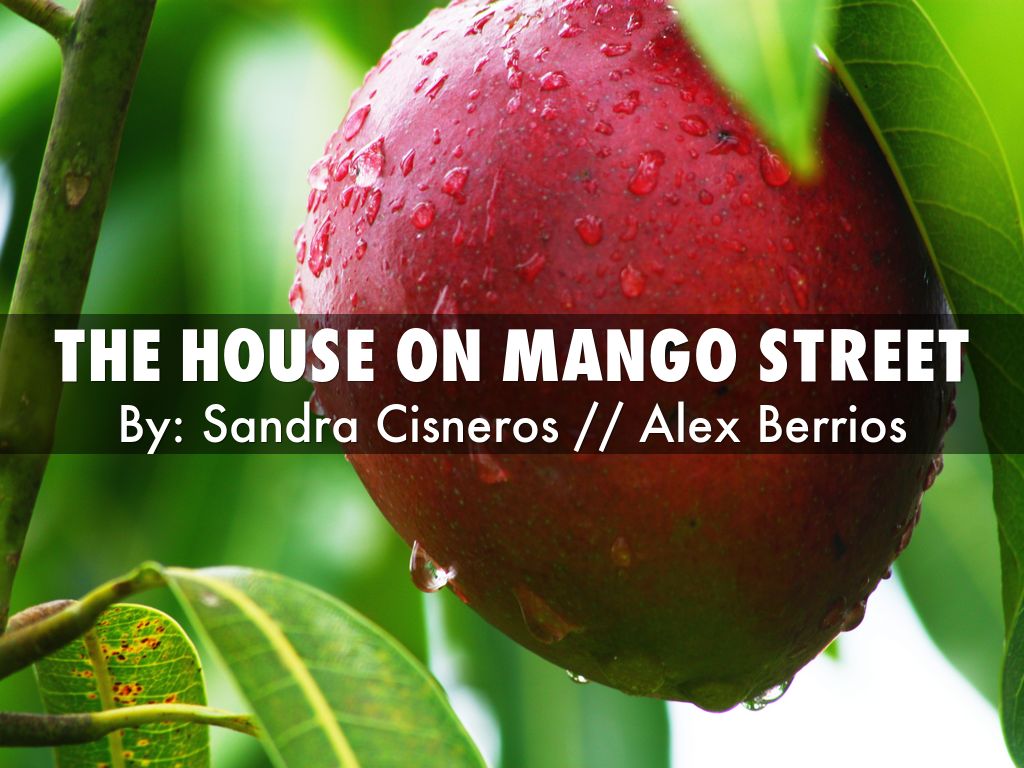 the house on mango street by alexsberrios