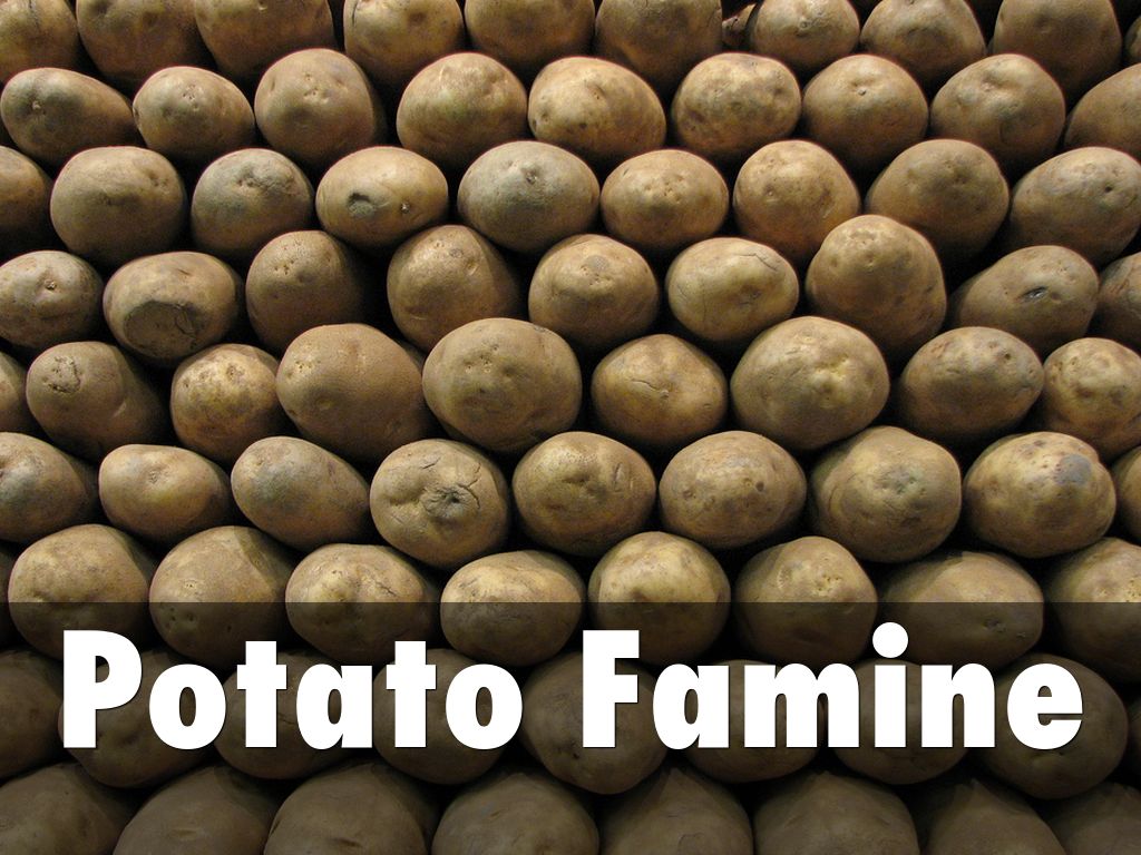 Potato Famine