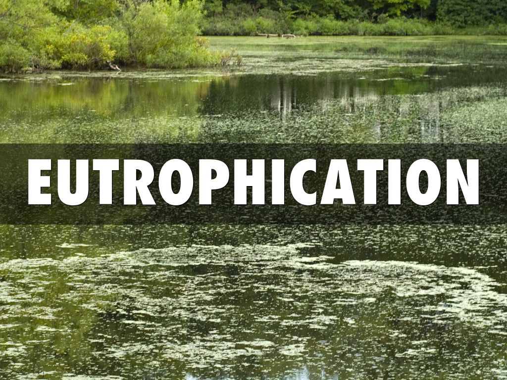 EUTROPHICATION