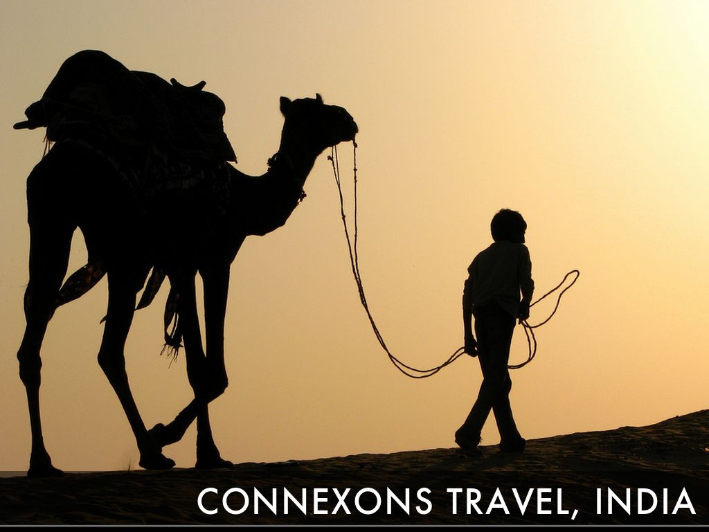 A Trip of a LIFETIME?