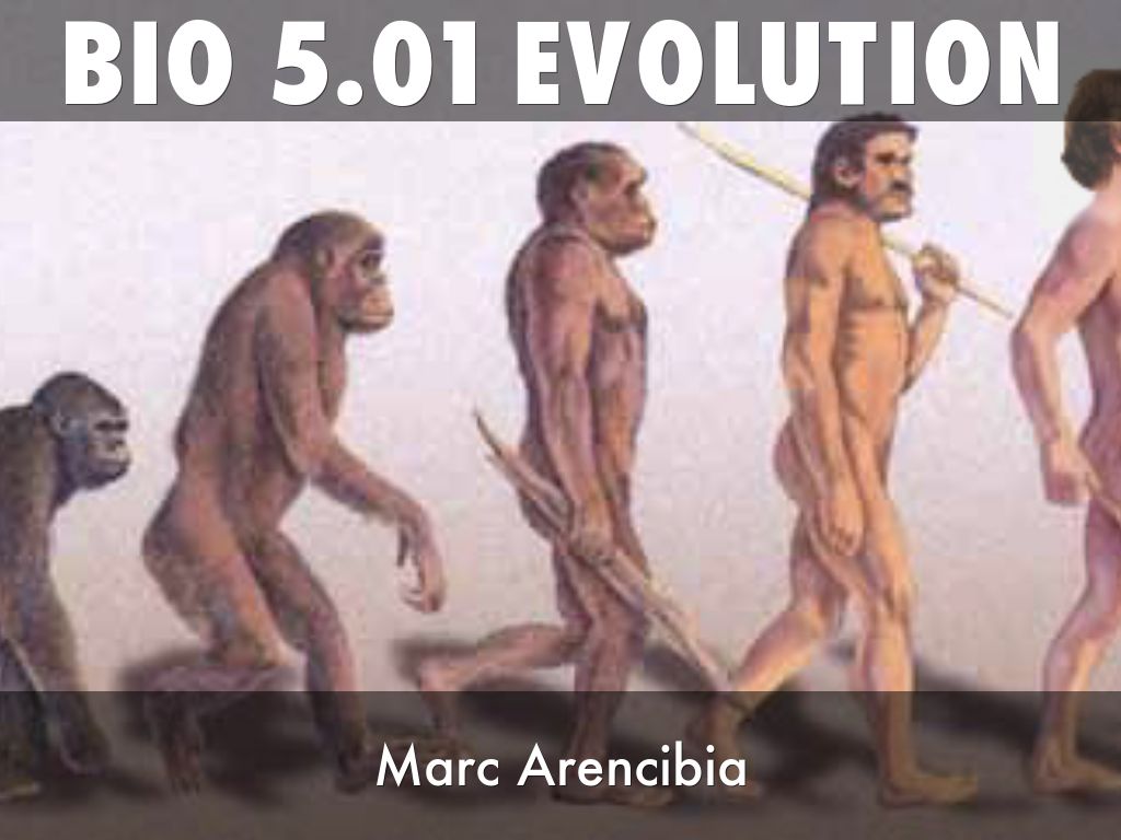 Bio 5.01 Evolution
