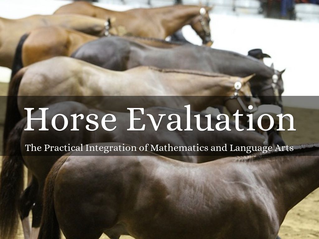 Horse Evaluation