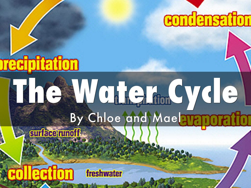 The Water Cycle