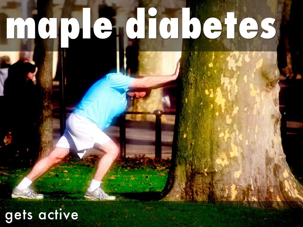 maple diabetes