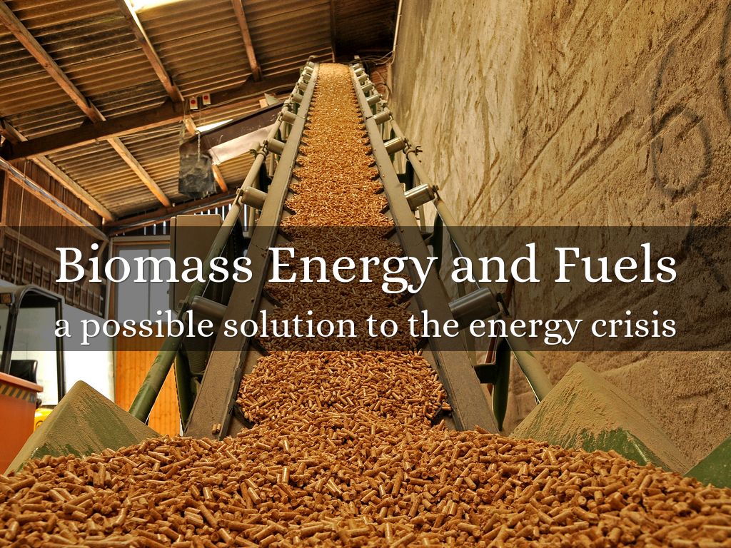 Biomass Energy and Fuels by madelined