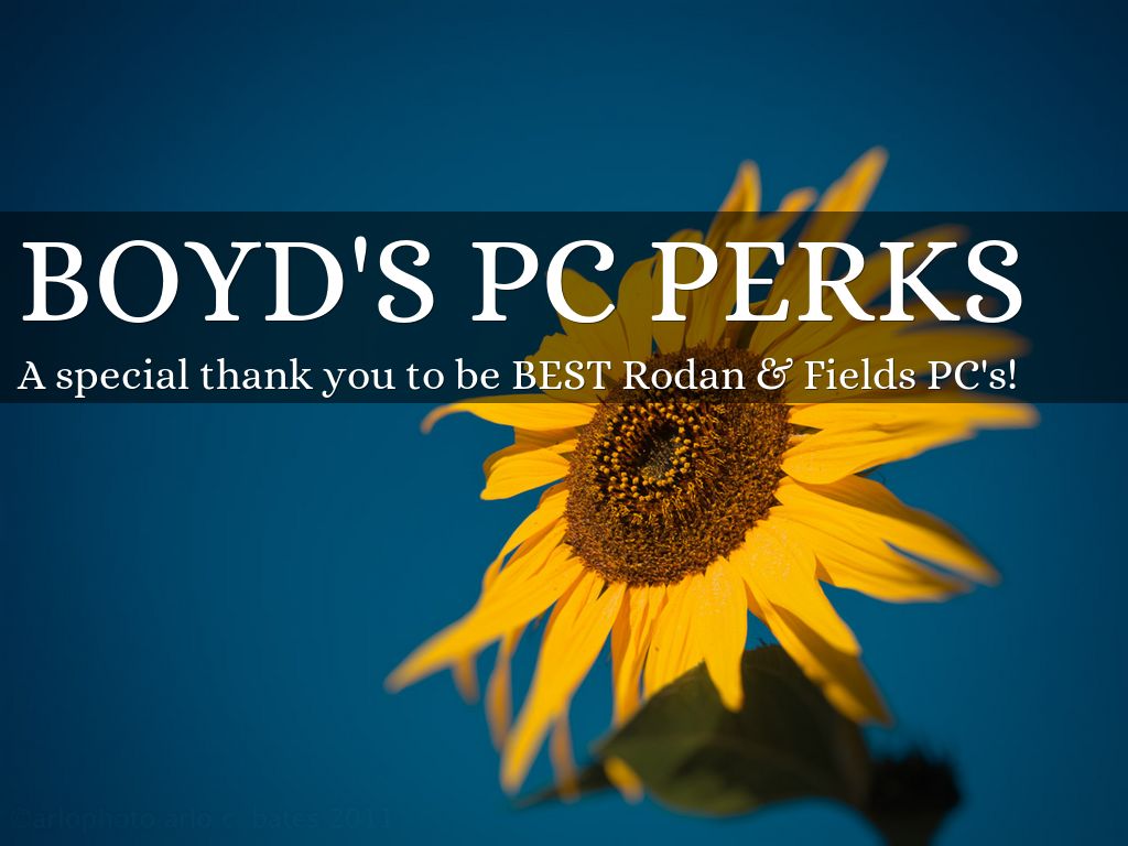 Boyd's pc perks