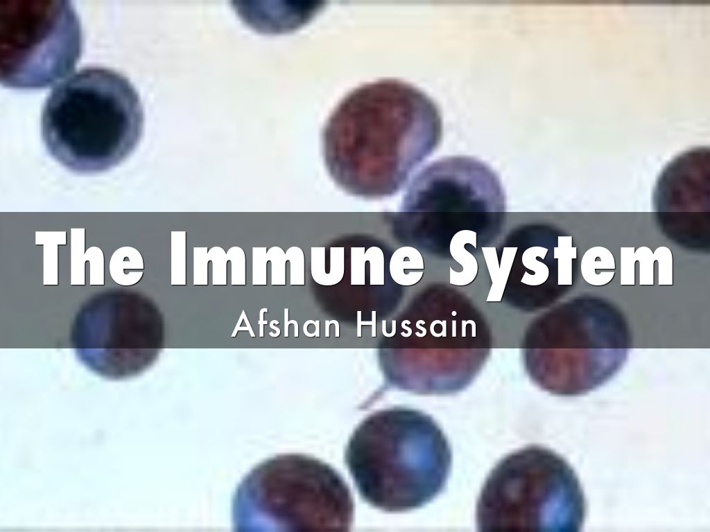 The Immune System