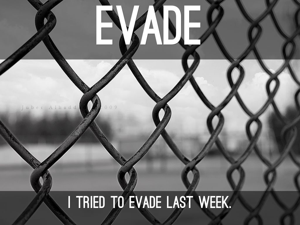 evade-by-honoraq33