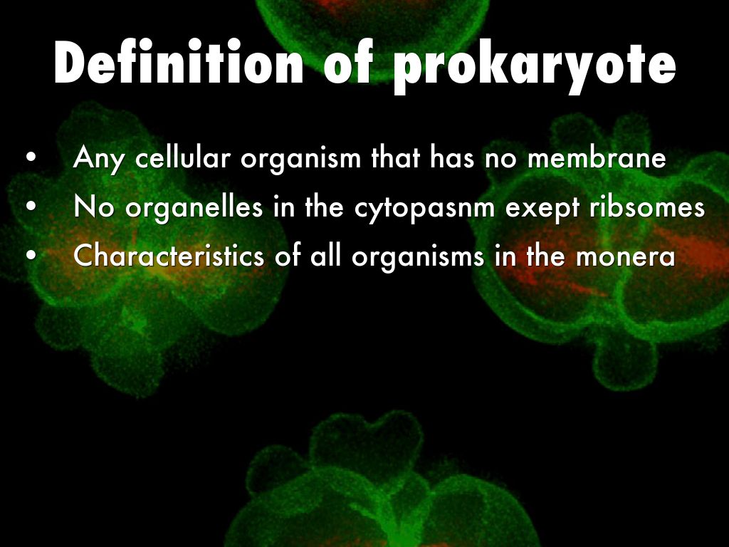 sexy sells by fay.rylan