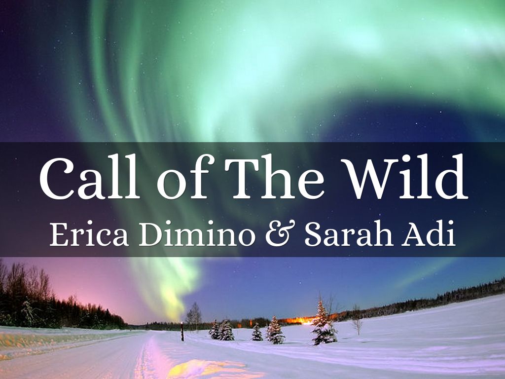 Copy of Call of The Wild