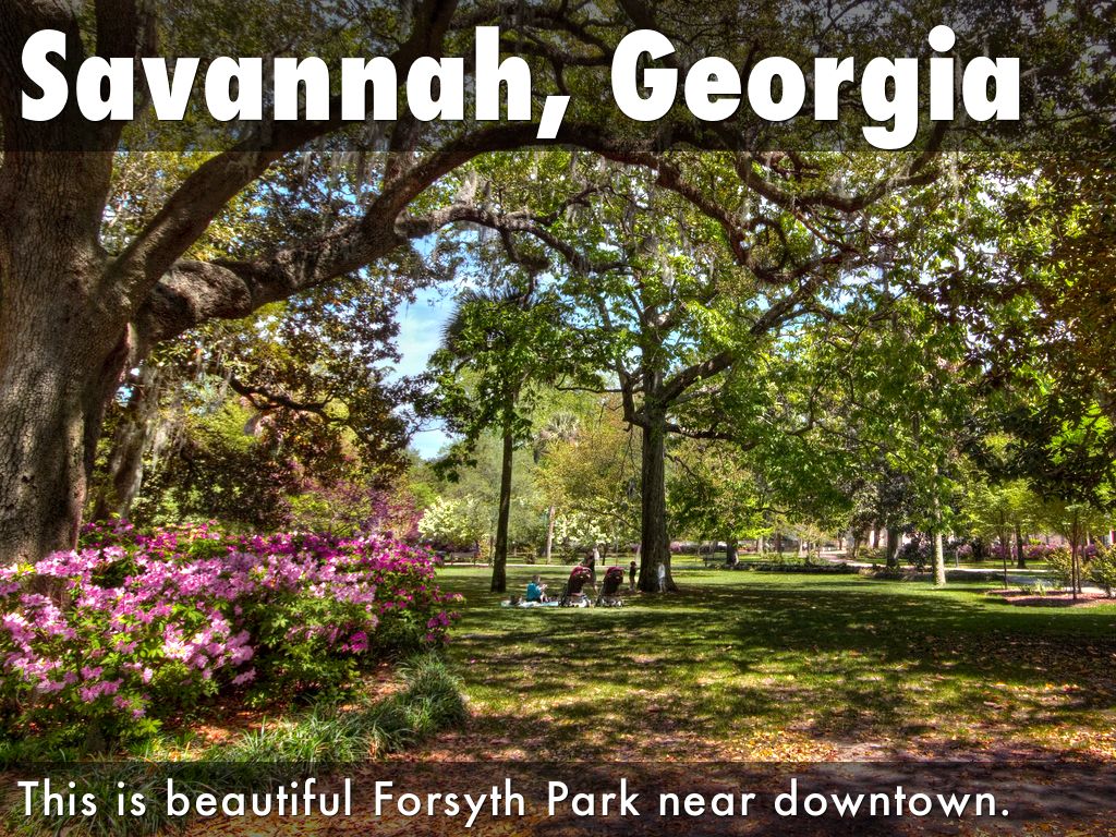 Gifted Class At Charles Ellis by Anne Powers