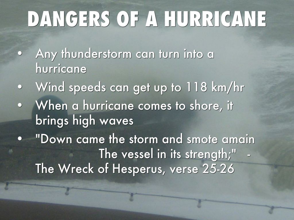 Hurricanes by Liza Alexander