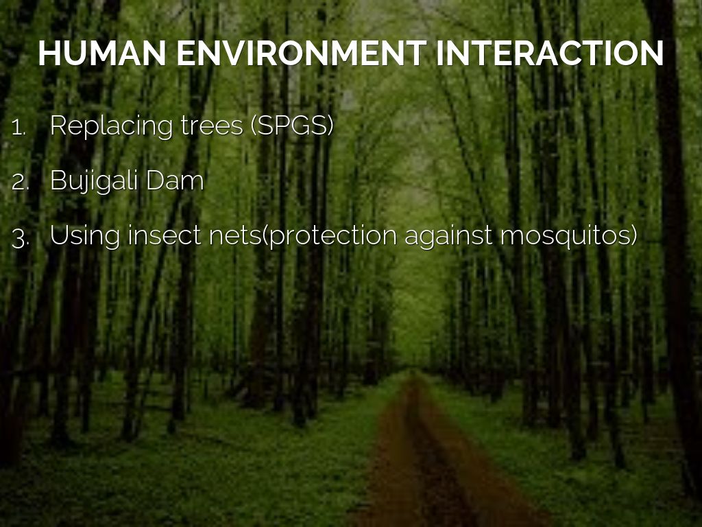 5 themes geography by Blayke