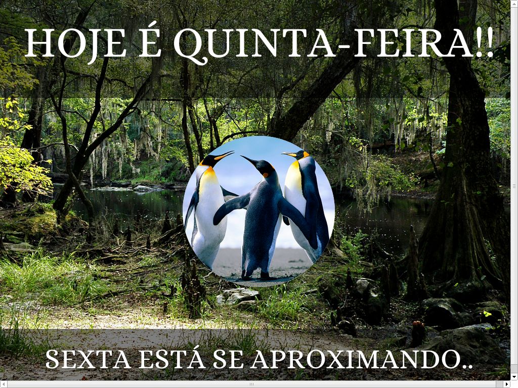 Hoje é Quinta-feira!!
