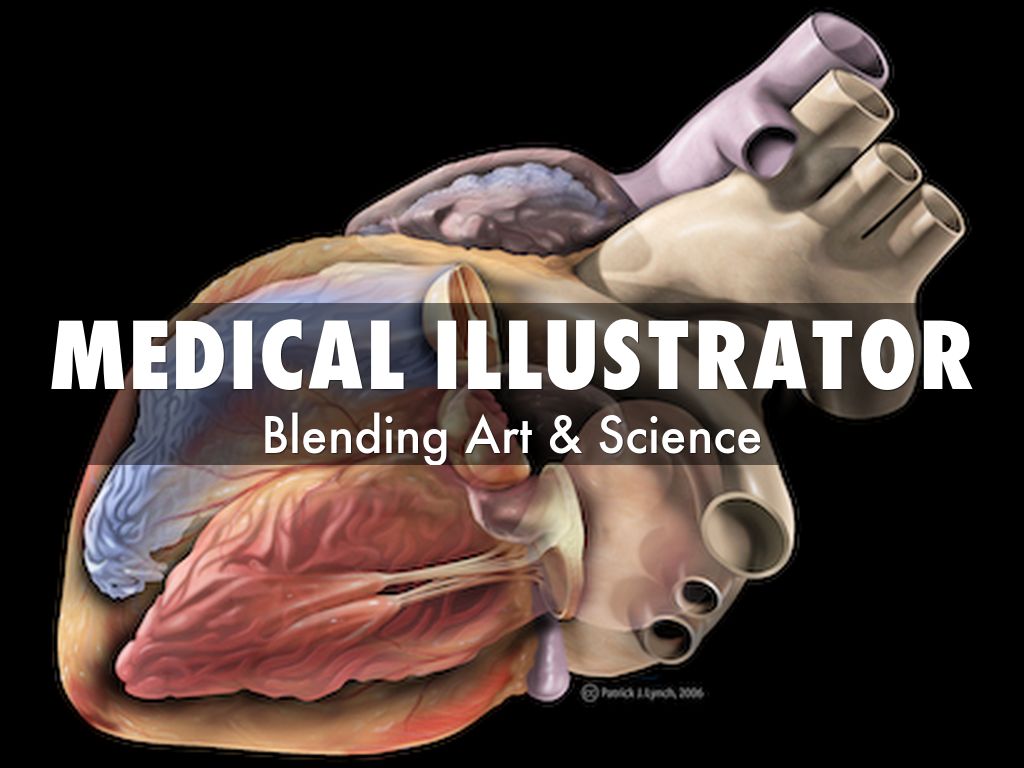 Medical Illustrator