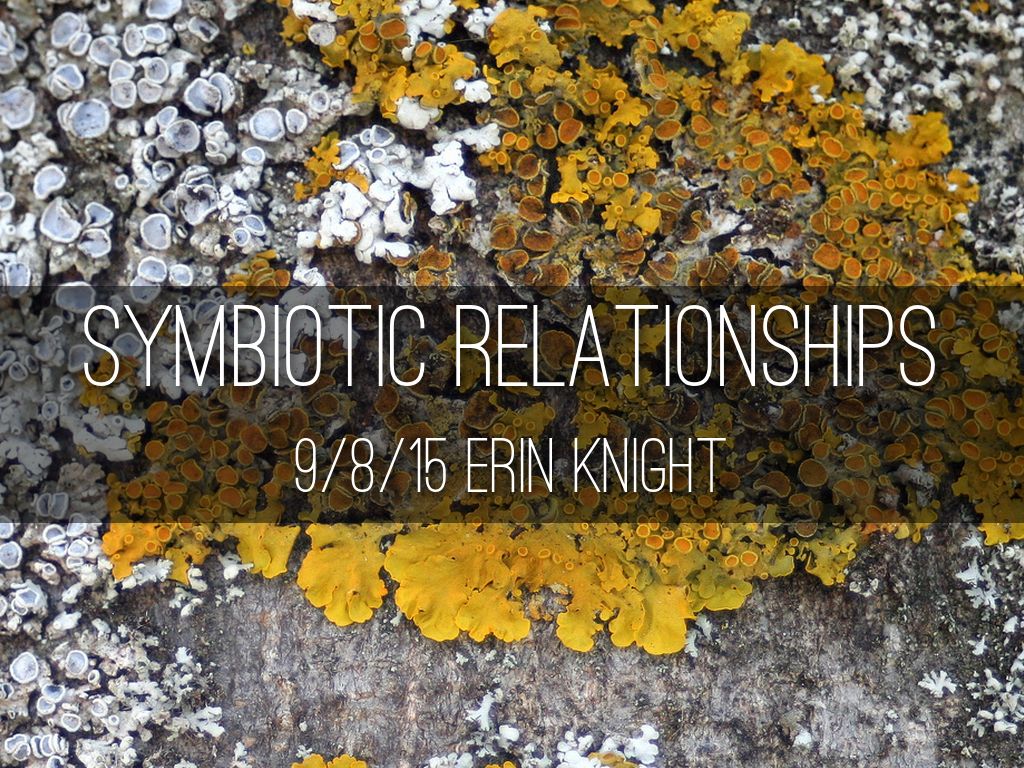 Symbiotic Relationships