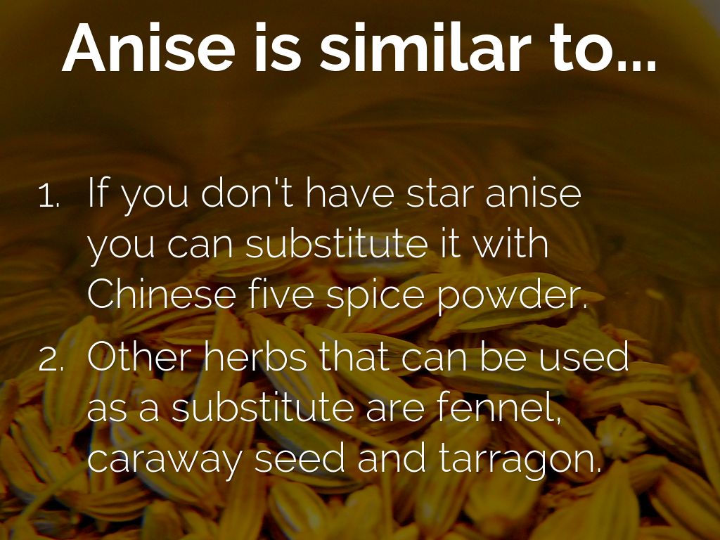 Anise by Liliana HartBeck