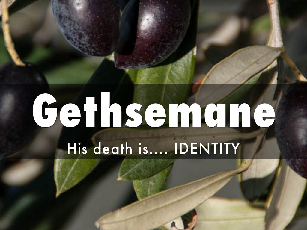 Good Friday- Garden of Gethsemane