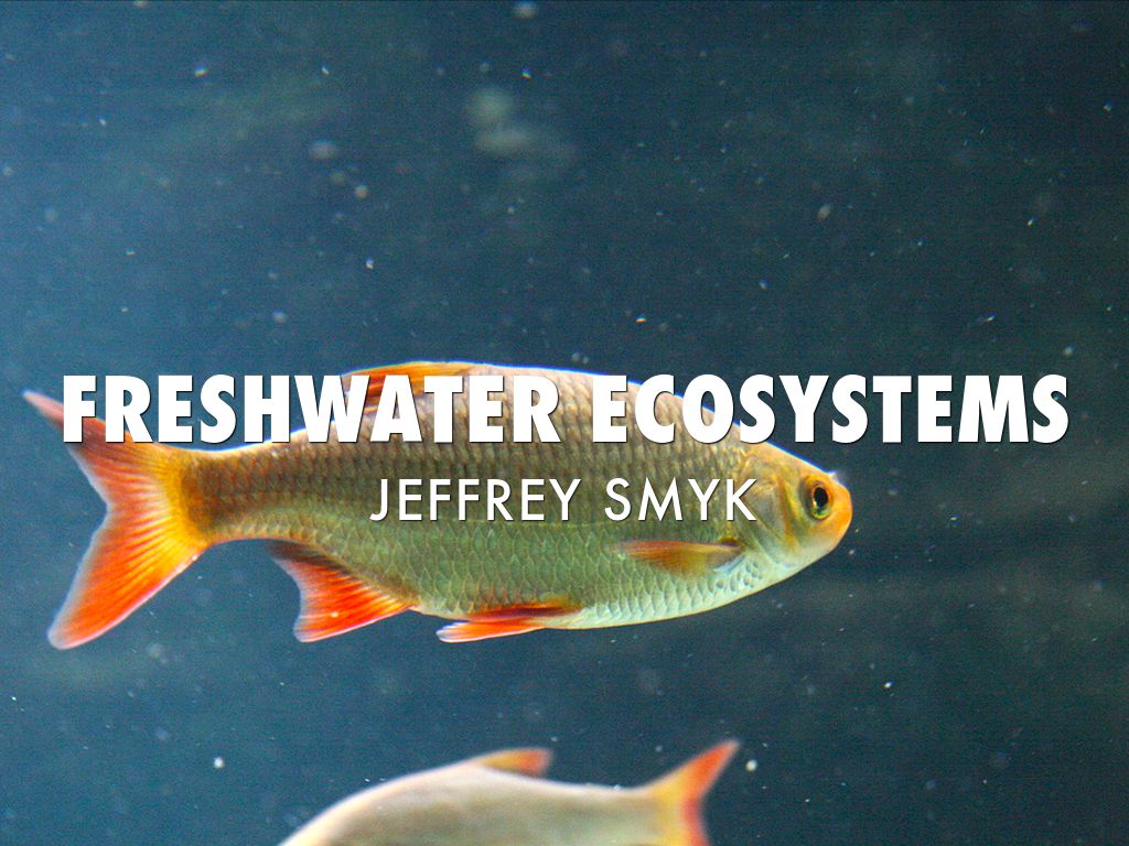 Freshwater ecosystems