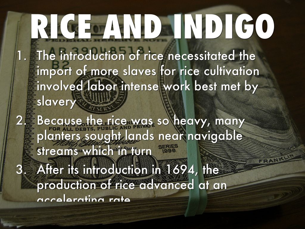 Indigo Rice Project by Logan Mccuin